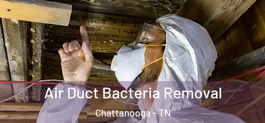  Air Duct Bacteria Removal Chattanooga - TN