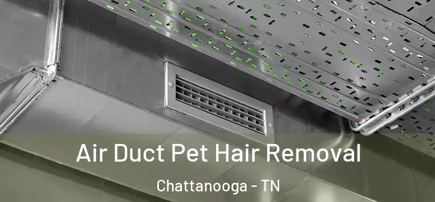 Air Duct Pet Hair Removal Chattanooga - TN