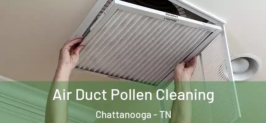  Air Duct Pollen Cleaning Chattanooga - TN