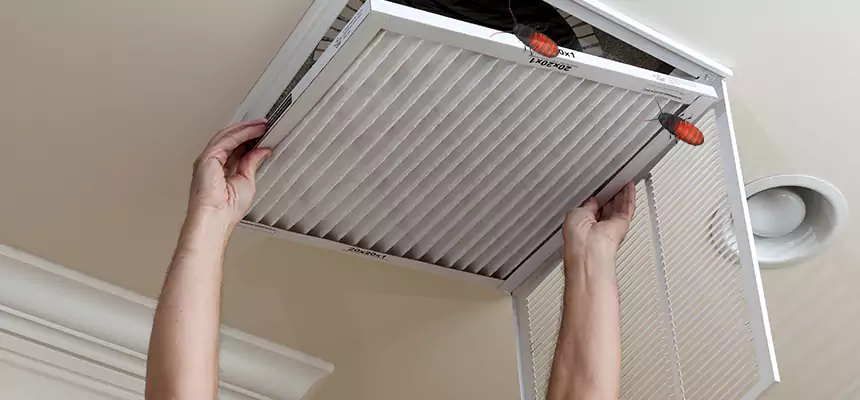Our Insect Removal from Air Ducts Services in Chattanooga, TN