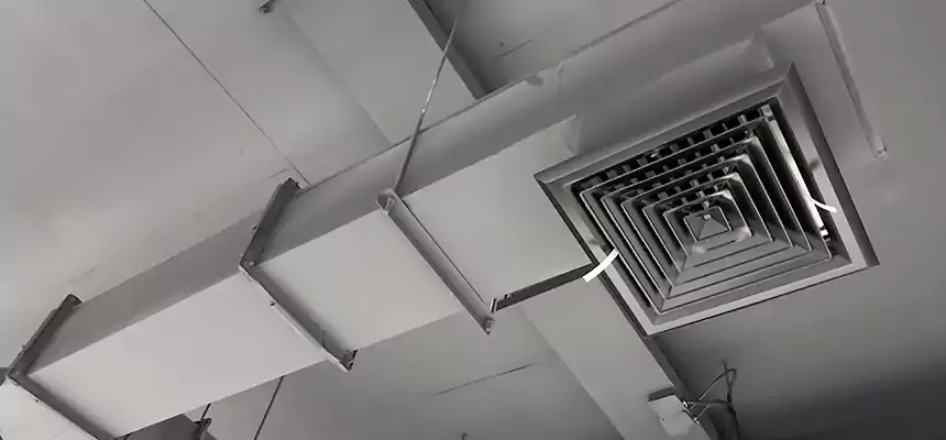 Our Rodent Droppings In Vents Services in Chattanooga, TN