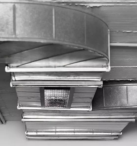 Professional Air Duct Pet Hair Removal in Chattanooga, TN