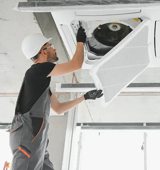 About Air Duct Rodent Removal in Chattanooga, TN