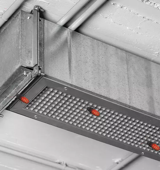 Affordable Insect Removal from Air Ducts in Chattanooga, TN