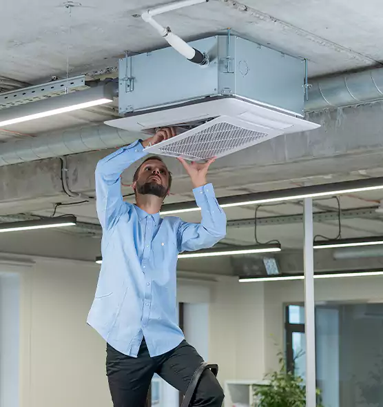 Advanced Rodent Droppings In Vents in Chattanooga, TN