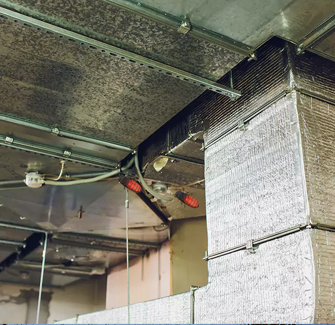 Why Homeowners & Businesses Trust Us in Chattanooga, TN?