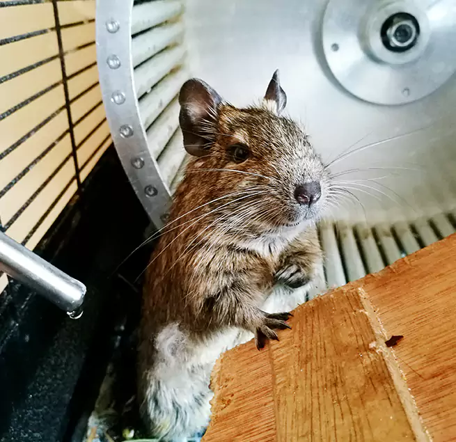 Why Homeowners & Businesses Trust Us Chattanooga, TN?