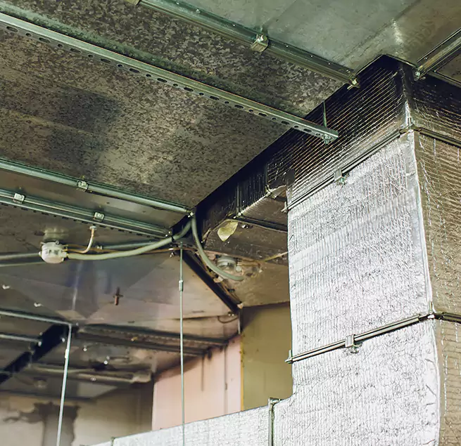 Why Homeowners & Businesses Trust Us in Chattanooga, TN?